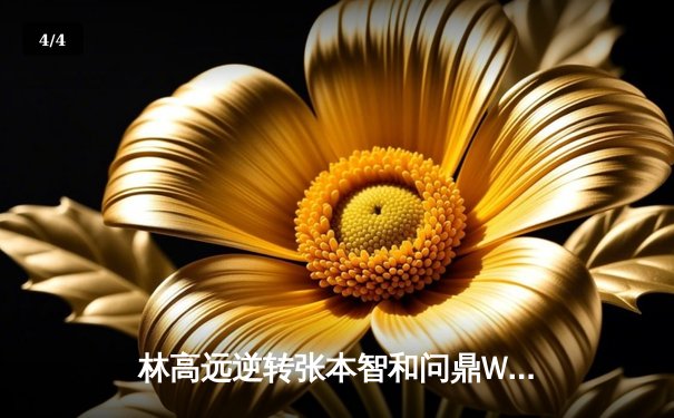 林高远逆转张本智和问鼎WTT重庆冠军赛男单桂冠 - 4